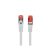 Lanberg PCF6-10CU-0025-S Cat.6 F/UTP AWG26 LSZH árnyékolt szürke patch kábel 0,25m
