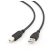 Gembird CCP-USB2-AMBM-6 1,8m USB A apa - USB B apa fekete kábel