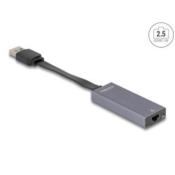 Delock 66247 USB A - 2,5 Gigabit LAN adapter