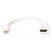 DIGITUS Full HD 60Hz 1.1a mini DisplayPort - HDMI type A Adapter 0,15m