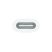 Apple mwml3zm/a Type-C - Apple Pencil adapter