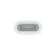 Apple mwml3zm/a Type-C - Apple Pencil adapter