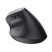 Trust 25146 Bayo+ vezeték nélküli fekete többeszközös ergonómikus egér Trust 25146 Bayo+ vezeték nélküli fekete többeszközös ergonómikus egér