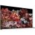 Sony 75" XR75X95LPAEP 4K UHD Smart Mini LED TV Sony 75" XR75X95LPAEP 4K UHD Smart Mini LED TV